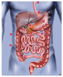 What is Bariatric Surgery?
